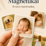Magnetukas 282x212