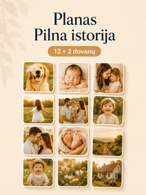 Magnetukai planas Pilna istorija Magnetukai planas Pilna istorija